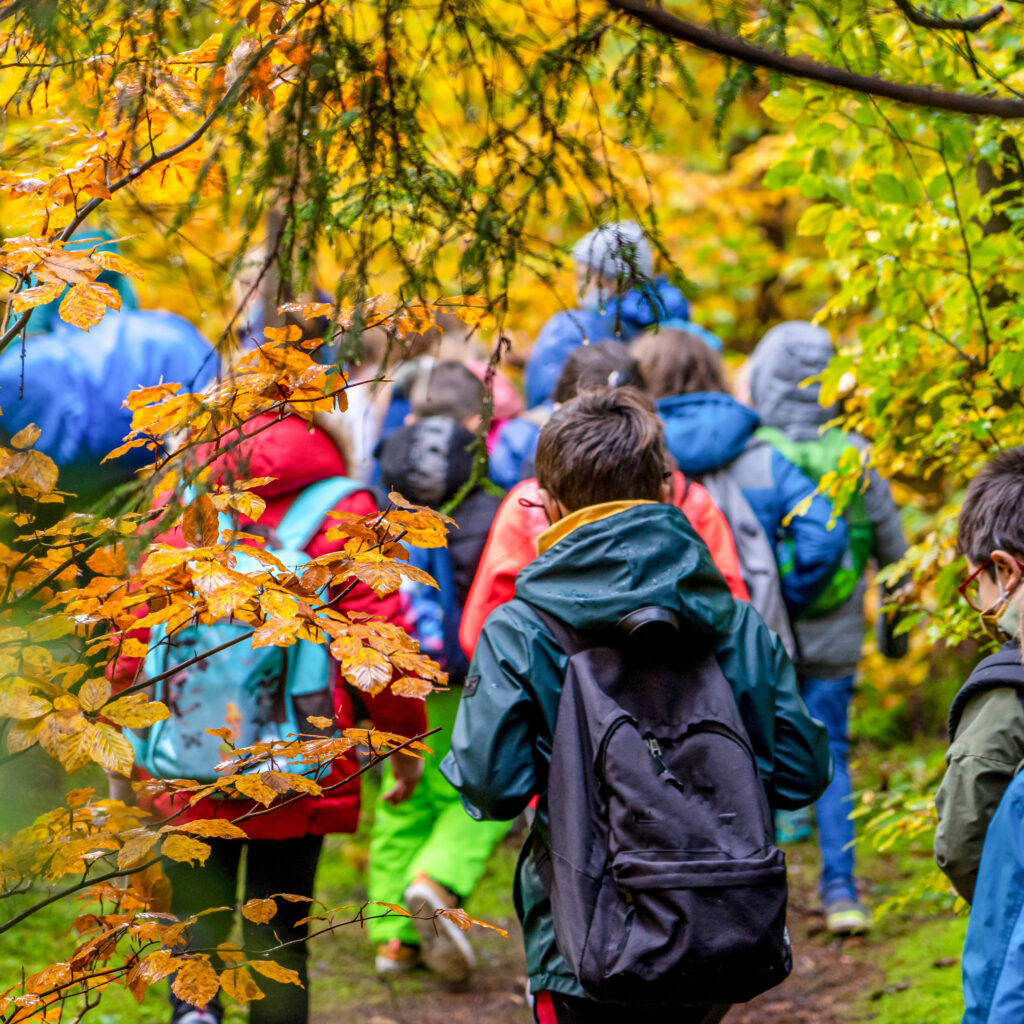 Schulausflug / Wandertag: Schulklasse wandert im herbstlichen Wald